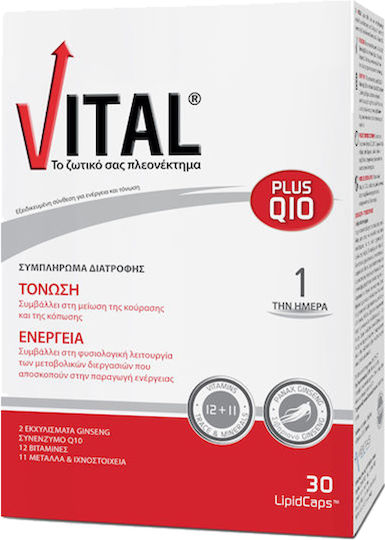 VITAL - Plus Q10 Συμπλήρωμα Διατροφής Για Τόνωση - Ενέργεια 30 Κάψουλες
