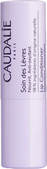 CAUDALIE - Vinotherapist Lip Conditioner - Ενυδατικό Χειλιών 4,5gr