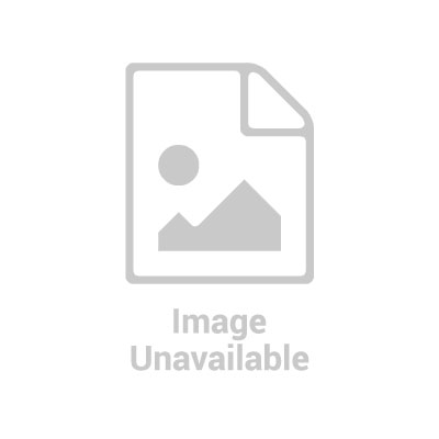 ALTION - Iron Forte Sticks - Ισορροπημένη Ενίσχυση Σιδήρου, Γεύση Πορτοκάλι 30 φακελάκια