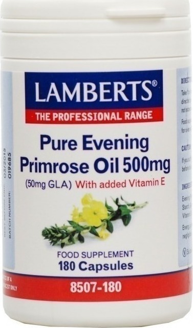 LAMBERTS - Ginkgo Biloba Extract 6000mg 180tabs