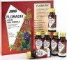 POWER HEALTH - Floradix Γυναικείο Τονωτικό με ειδικά εκχυλίσματα φρούτων, σίδηρο & βιταμίνες, 10x20ml