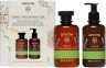 APIVITA - Promo Tonic Mountain Tea Shower Gel 250ml & Ενυδατικό Γαλάκτωμα Σώματος 200ml