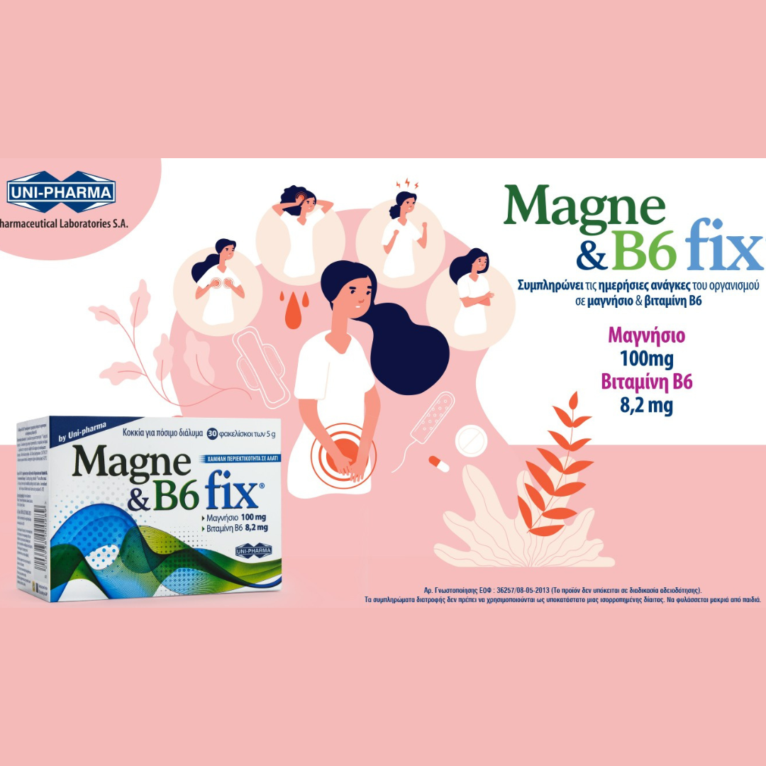 Magne & B6 Fix